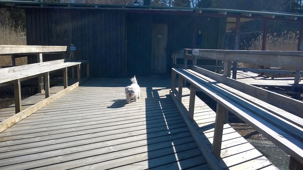 Lomakeskus Koivukankare Kaarina Luaran gambar