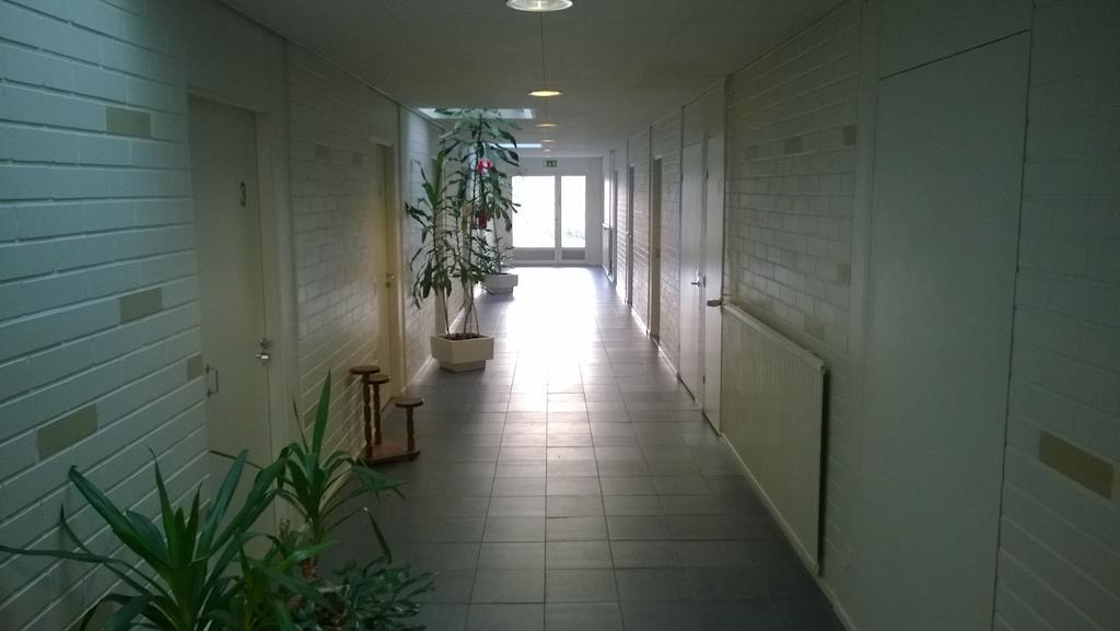 Lomakeskus Koivukankare Kaarina Luaran gambar